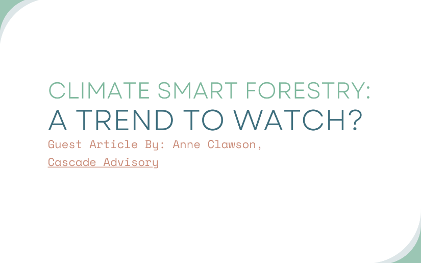 Climate Smart Forestry: A Trend to Watch?
